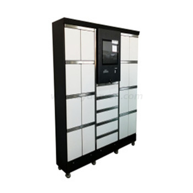 Densen customized Durable and fashionable outdoor logistics and distribution smart parcel lockers smart lockers