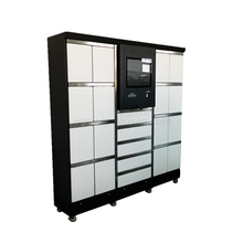 Densen Customized Automatic Access Integrated Smart Parcel Storage Cabinet, Steel Sheet Metal Parts