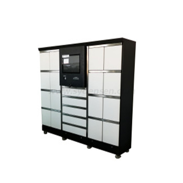 Densen customized Electronic automation intelligent logistics digital intelligent distribution packaging electronic cabinet
